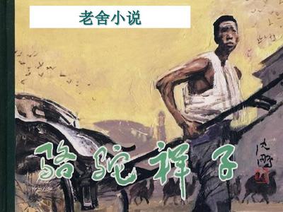 顶级后入瑜伽教练